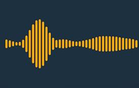 Détail de la formation La prévention des risques liés au bruit